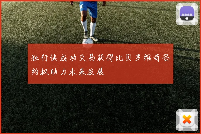独行侠成功交易获得比贝罗维奇签约权助力未来发展
